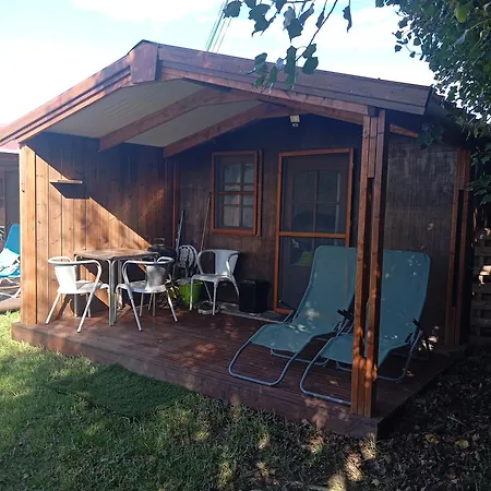 Dinocamp * لورينها