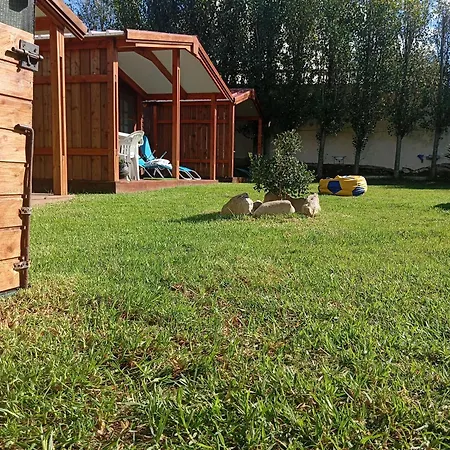 Dinocamp لورينها