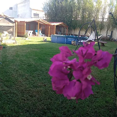 منزل ريفي Dinocamp