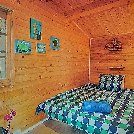 منزل ريفي Dinocamp