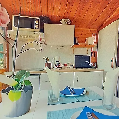 منزل ريفي Dinocamp *