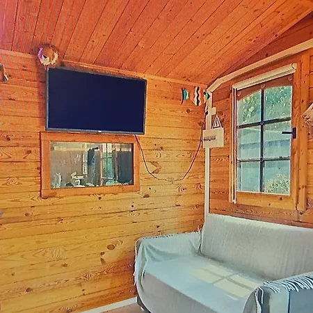 Dinocamp * لورينها