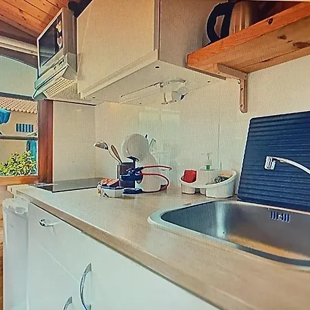 منزل ريفي Dinocamp *