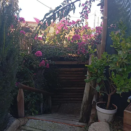 カントリーハウス Dinocamp *