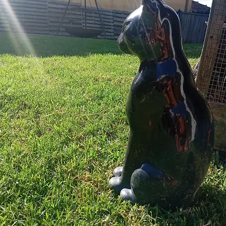 Dinocamp * ロウリニャン