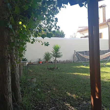 Dinocamp ロウリニャン