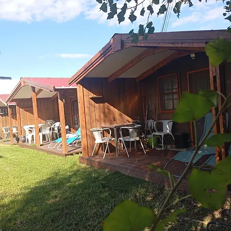 Dinocamp * ロウリニャン