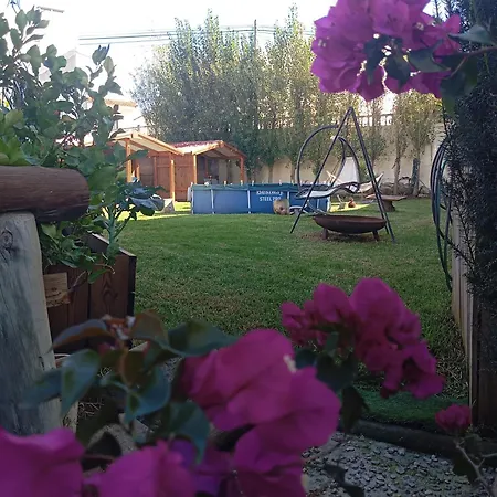 Dinocamp 乡村民宿