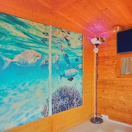 Dinocamp ロウリニャン