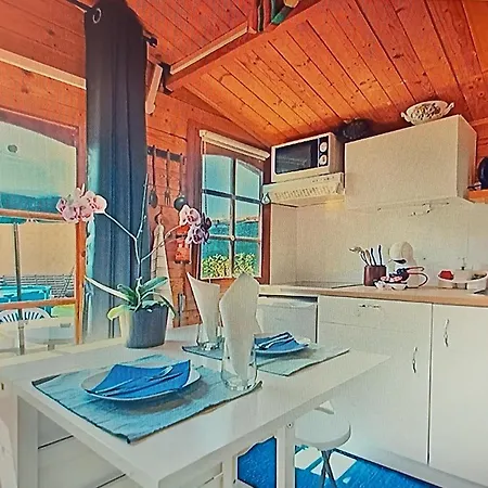 Dinocamp * ロウリニャン