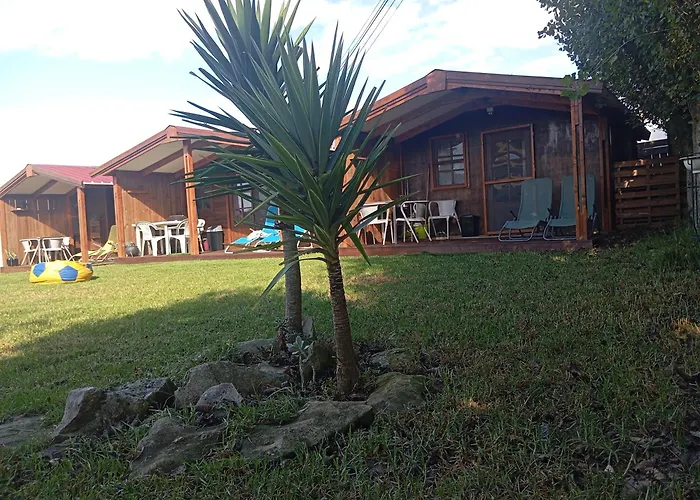 Dinocamp لورينها