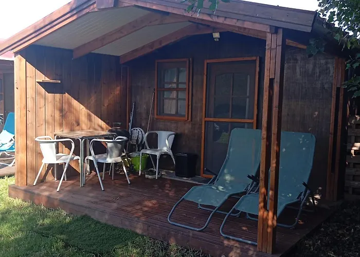 Dinocamp * لورينها