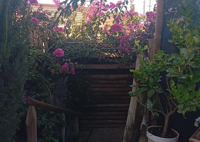 Casa di campagna Dinocamp *