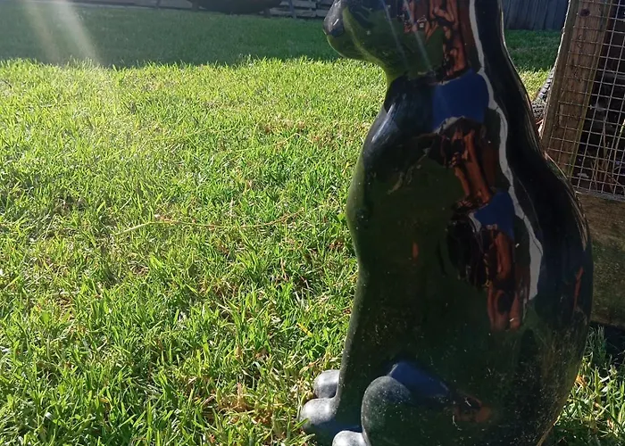 Dinocamp * لورينها