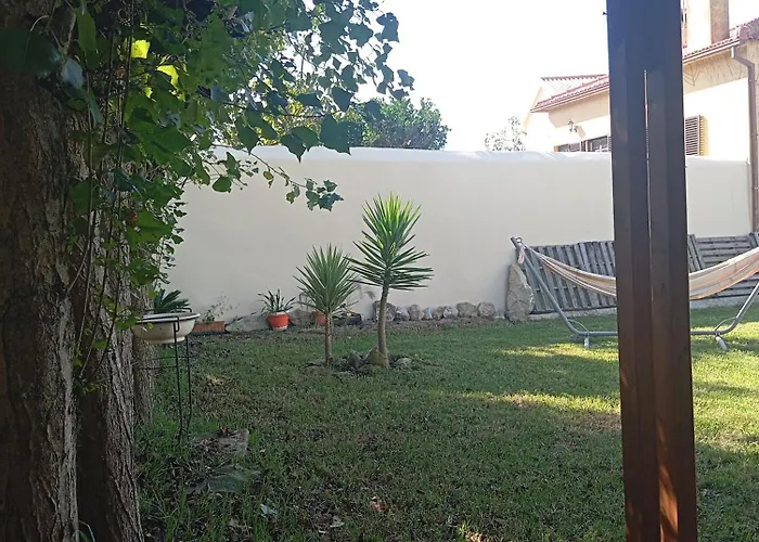 Dinocamp لورينها