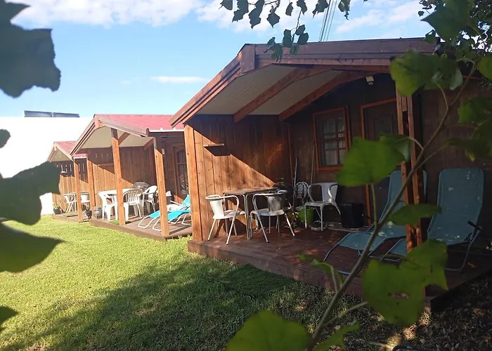 Dinocamp * لورينها